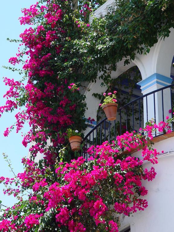 Pierre & Vacances Mojacar Playa Ngoại thất bức ảnh